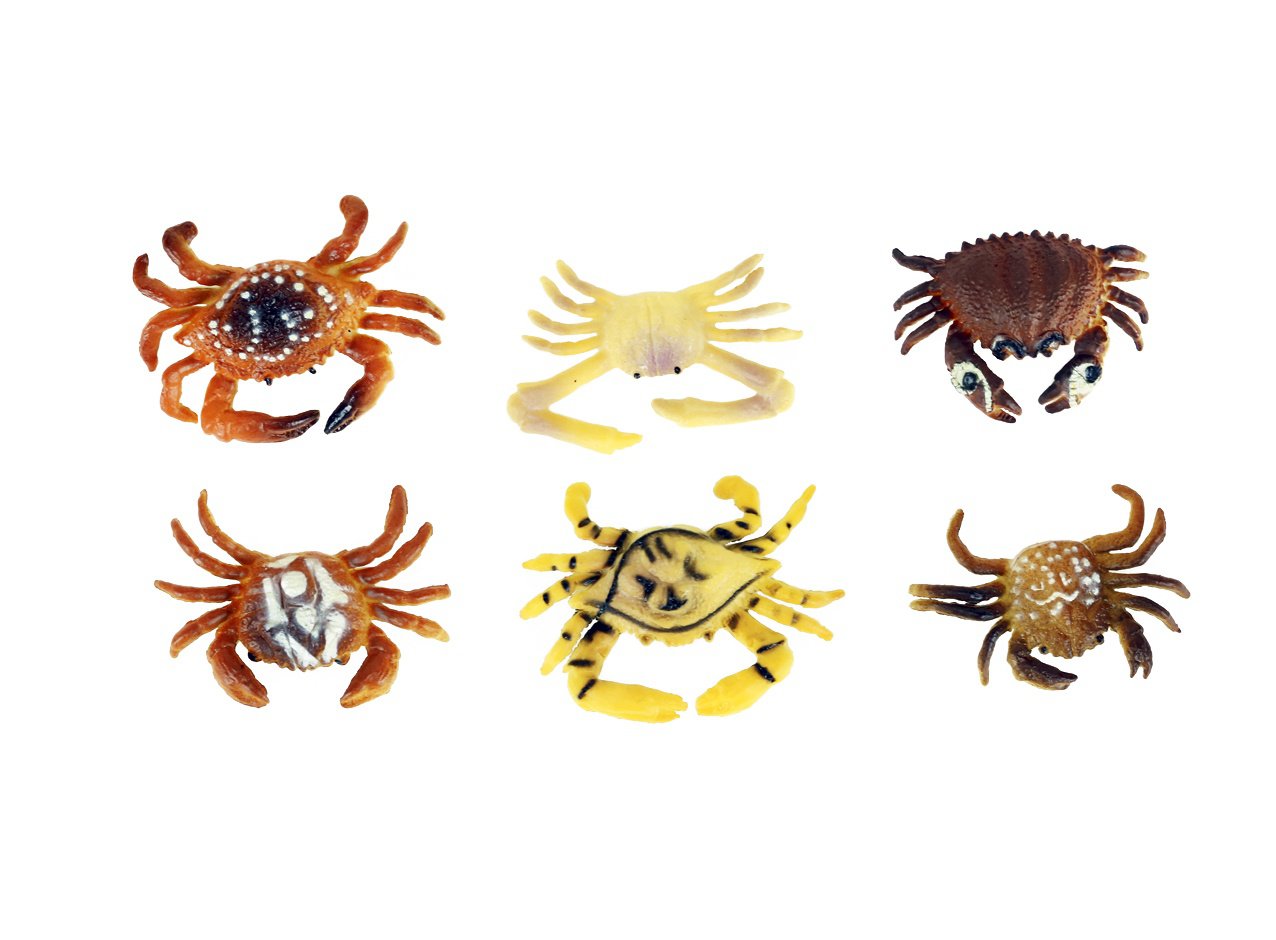Crab Toys