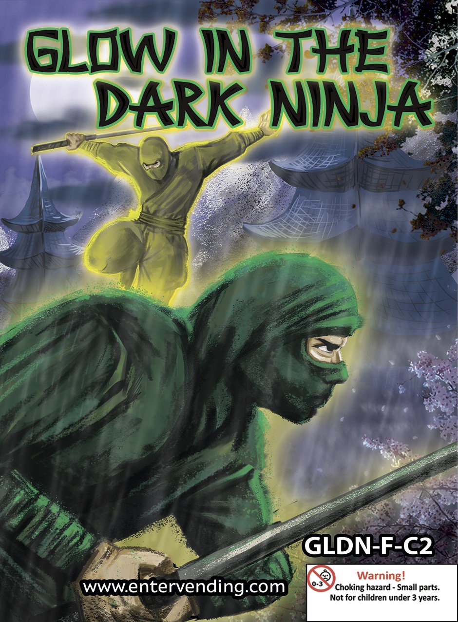 Glow in the Dark Ninja (display)